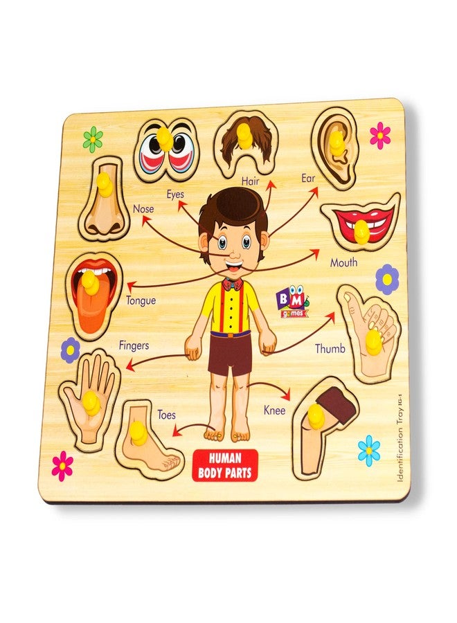 BuGBee Body Parts Toddler Puzzles For Kids Ages 2-4-8 Montessori Wooden Puzzles For Children 3-5 Years Old Preschool Game For Learning Human Body Parts Anatomy Skeleton - Gift Toys For Boy And Girl - Image 1